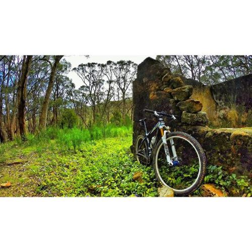 333psi:  Exploring the Adelaide hills by honomnom ift.tt/1Ed80Fd