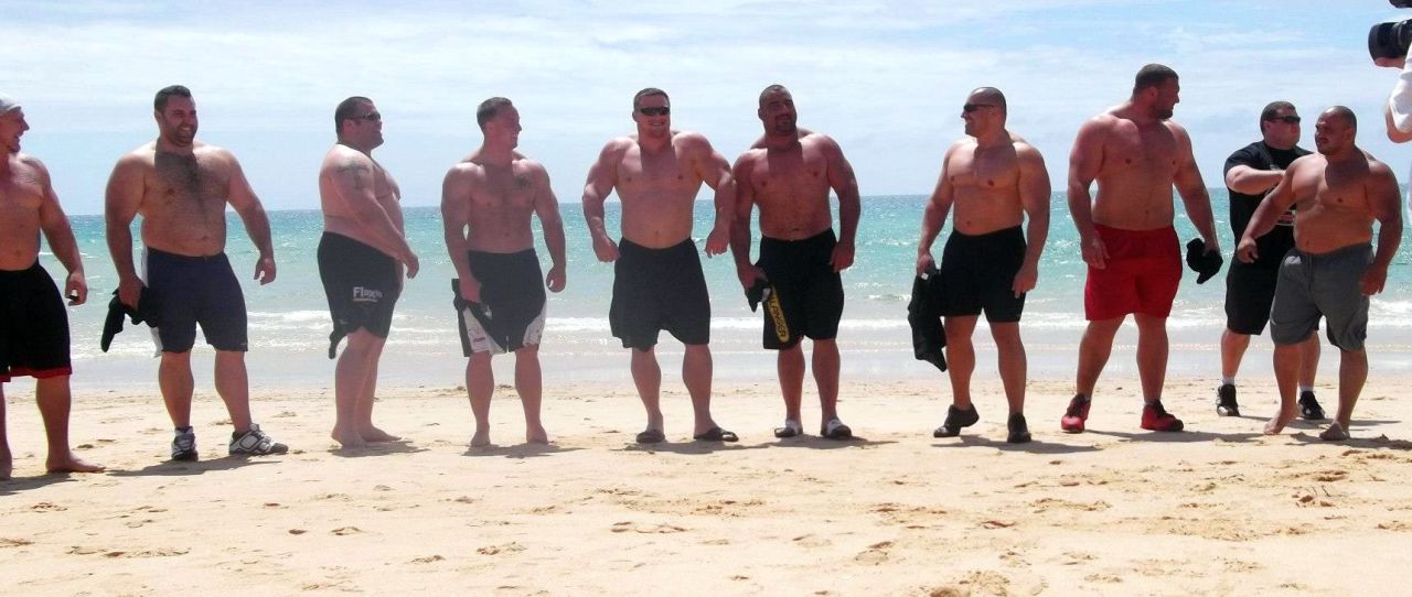 justbulls:  Strongman Bulls
