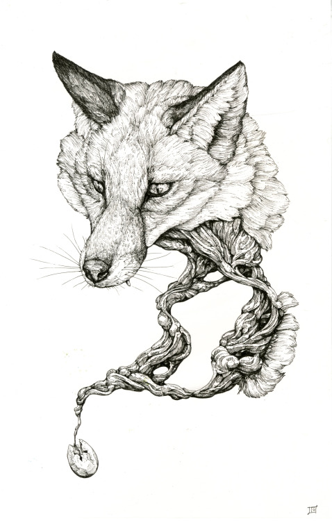 laurenmarx:  “The Death’s Head” Ballpoint pen, 10.5 x 14 inches, 2014 “Where All that I Know Comes From” Ballpoint pen, 9.5 x 14 inches, 2014 Both of these are small drawings that I have sold recently. They are two of eleven that are going to