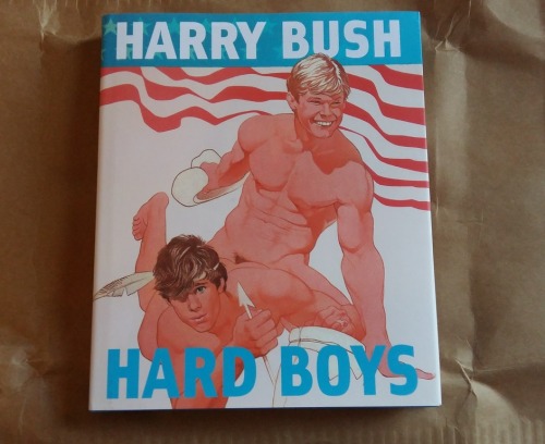 Finally I couldn’t resist anymore and I purchased a copy of HARD BOYS the monography of HARRY BUSH. 