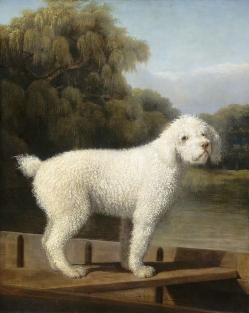 George Stubbs, White Poodle in a Punt, 1780. Oil on canvas. National Gallery of Art, Washington, USA