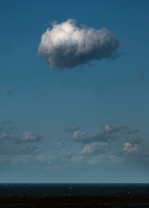 Je vis un bonheur sans nuage.