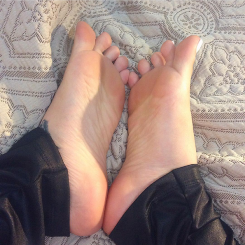 mynorg: My favorite feet model Alexa doesn&rsquo;t want you to join this KILLER feet discord &mdash