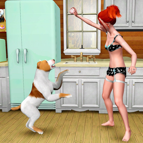 sims 3 gameplay