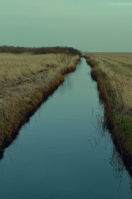 niggerb0ts:  amorphouse:  The River | Daniel Coulmann   ~