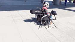 fuckyesdeadpool:  suchusernameveryweb:explainguncontrolandsafespaces:archiemcphee:Walkin’ &amp; Rollin’ Costumes created this super awesome Ant-Man cosplay that features the miniaturized superhero riding our favorite character from the movie, Antony