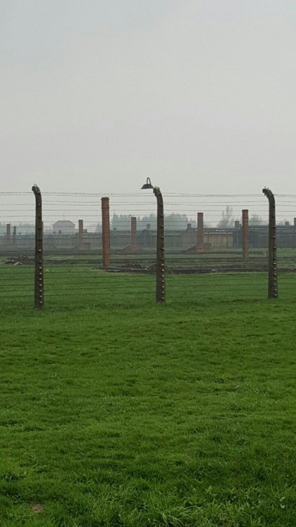 Porn Auschwitz, Oświecim, Poland photos