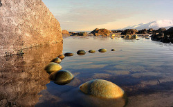 asylum-art:   Beautiful land art installations by Ireland-based artist Gerry Barry            