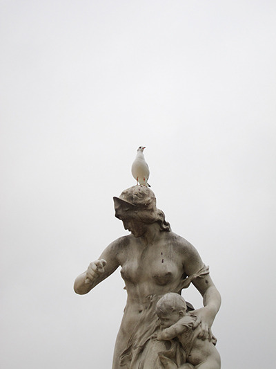 arpeggia: Munemasa Takahashi - Birds on The Heads