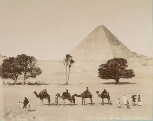 centuriespast:A caravan passing by Giza pyramids, circa 1860.