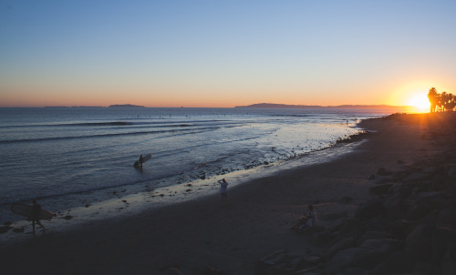 Surf's up.