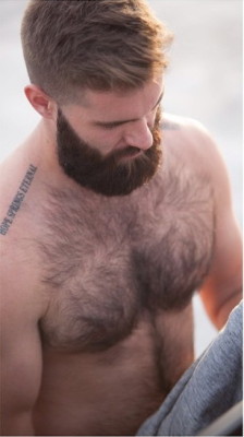 Hairy Men Pix