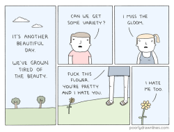 pdlcomics:The Beauty