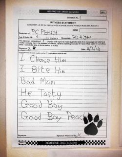 chantillyxlacey:  wewerein-finite:   So in England these lawyers in court kept asking for an account of a crime from a ‘PC Peach’ not realising that Peach was the name of a police dog. So the policemen completed the form as if it had been written