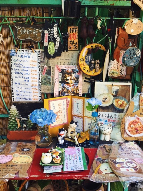 tokyogems:  猫のお店。  found a cat shop in nezu. 