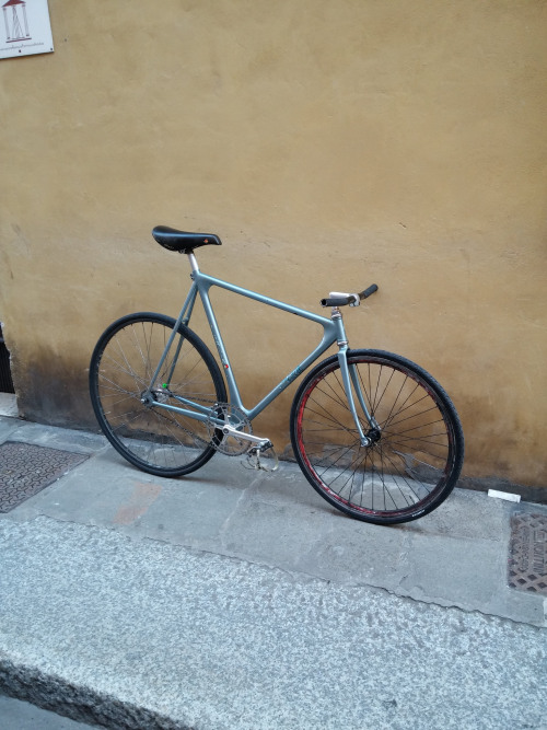 bikeplanet:  Cinelli Laser adult photos