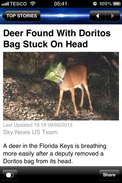 Porn Pics wall-to-wall-shezza:  Meanwhile, in Florida.