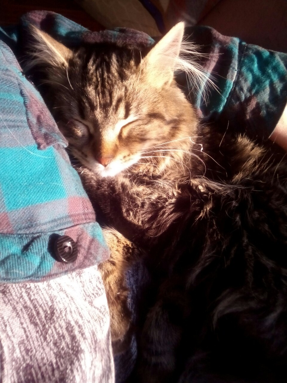 son-solo-palabras:  She just loves to use me as a pillow