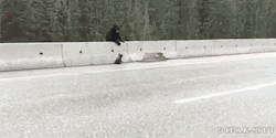 gifak-net:  [ video ] 