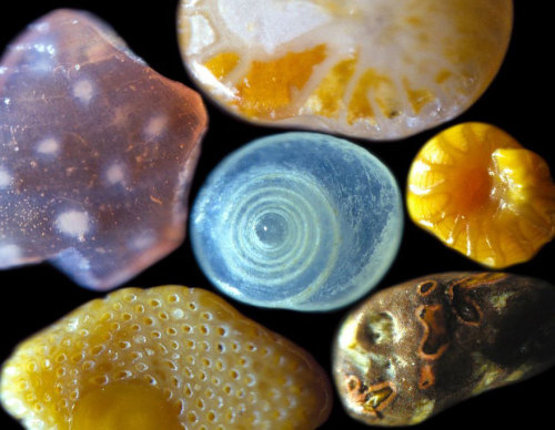 gaksdesigns:Grains of sand magnified 250 times. Shot by Dr.Gary Greenberg.When seen well beyond the 