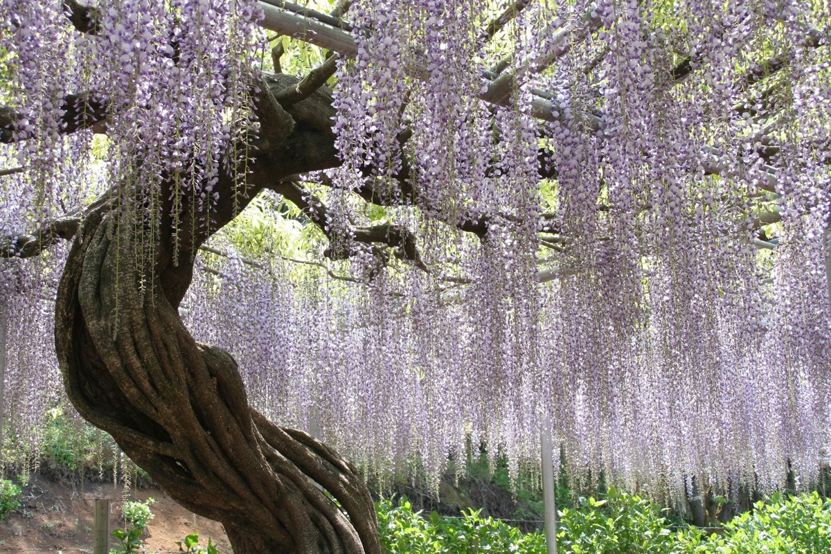 quiet-nymph: Photography   by EYLC on Flickr