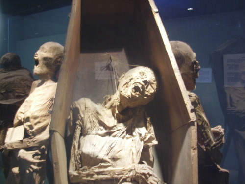 unexplained-events:  The Guanajuato Mummies are considered to be amongst the strangest and most horrifying in the world. Contorted faces on some of the mummies give credence to the belief that some of them were buried alive. That makes sense since