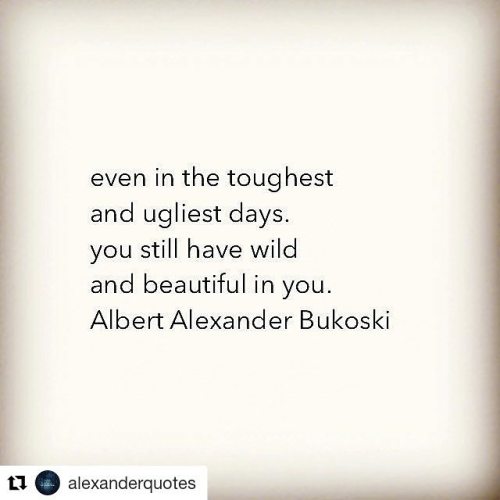 #Repost @alexanderquotes (@get_repost)・・・You are strong and soft as one........#qotd #poemsporn #quo