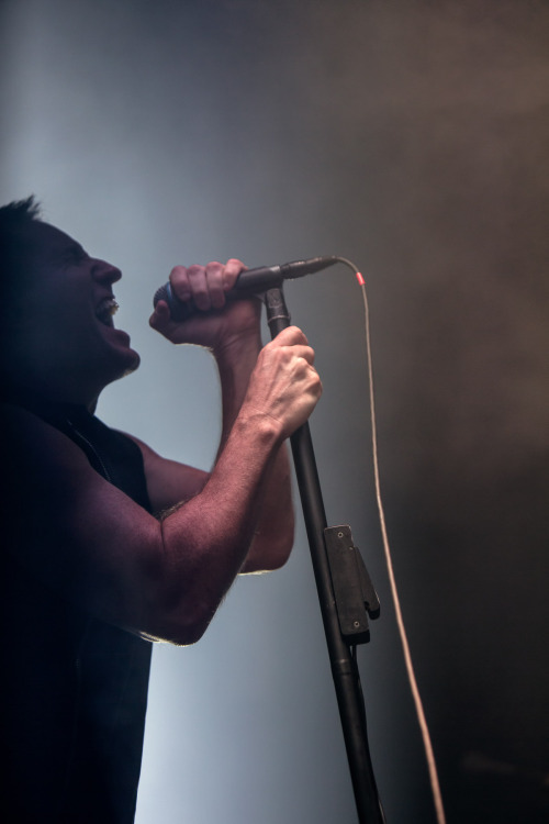 Nine Inch Nails live, February/March 2014 in Tokyo, Sydney, and Melbourne. On tour this spring in Eu