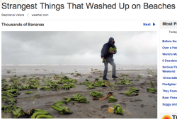 princess-jensen:   felinejaye:  Props to the guy getting free bananas while he can.  Guess you could say the ocean went,  Bananas. 