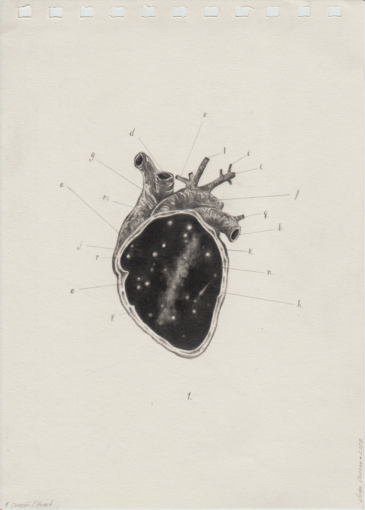 darksilenceinsuburbia:Juan Carlos Osorno