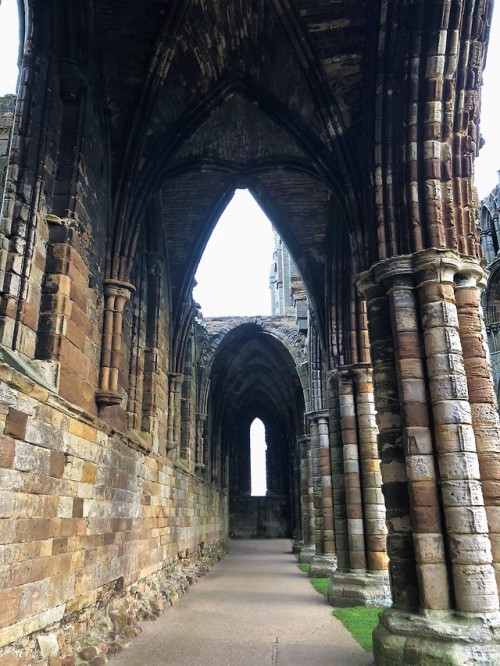 Visiting Whitby Abbey a few weekends ago, worth the famous 200 steps to get there for the wonderful 