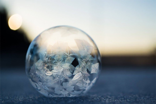 actegratuit:  Frozen Bubbles! Washington-based photographer Angela Kelly captured these breathtaking images of soap bubbles freezing at 15,8°F (-9°C) for her “Life in a bubble” series. 