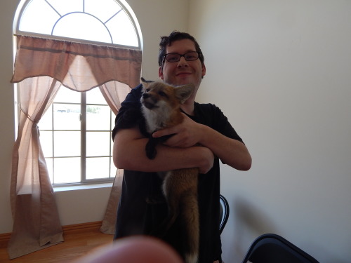 foxesarethebestanimals:  I should note that I rarely show pics of me due to being somewhat self-conscious, but I figured, since I was holding a sweet cuddly baby fox, I was like, why not? Go big or go home! :D Man, she is just one sweet baby fox!! <3