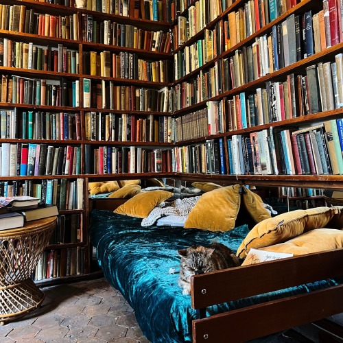 Dreaming Abt Shakespeare And Co. 