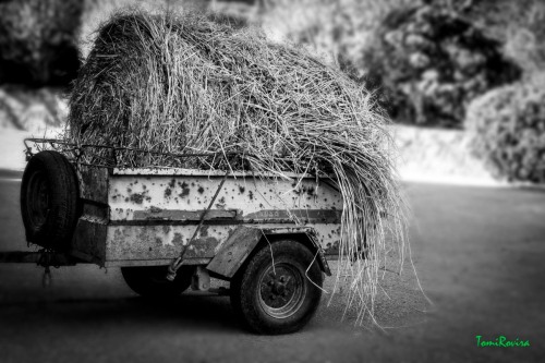 THE STRAW CART 202304161710148RT1