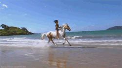 https://64.media.tumblr.com/c8256a6f7ef5fd000b66d3681081853f/tumblr_ntphyhSsJc1sk87juo1_500.gif