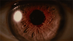 blackstarpower:  Ojo de bella on We Heart It. http://weheartit.com/entry/85892626