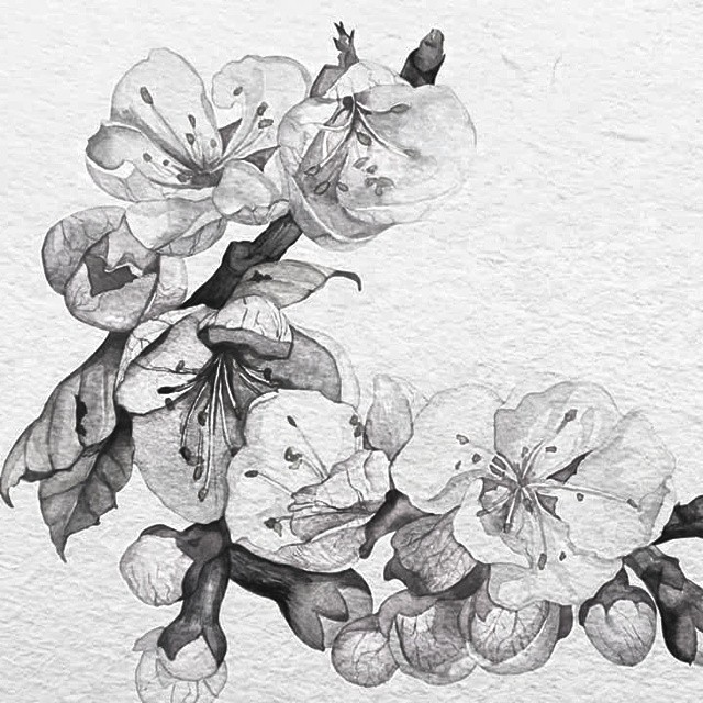 Dení Ixchel — FLOWERS #flowers #flores #dibujo #drawings...