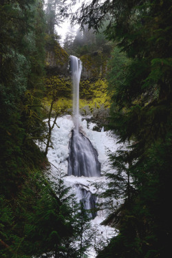 tearingdowndoors:  Pup Creek Falls (By Twinkle Tobes) Estacada, OR 