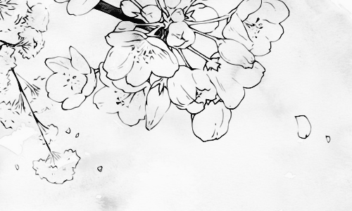 baejuu:  Cherry blossoms, huh… It’s been a while since I last saw them… 