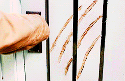 howboutnovak:the Dean Winchester meme: reoccurring themes [2/4]↳ dean + dogs