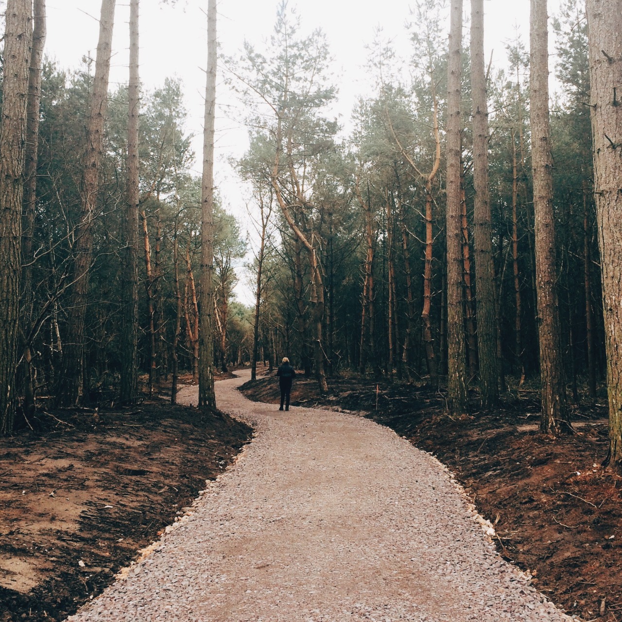 danielodowd:  http://henryrose.vsco.co/