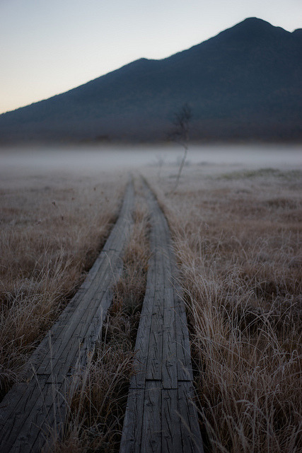 browndresswithwhitedots:ubic from tokyo