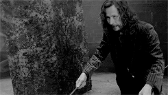 thominho:  hp meme: [3/9] characterssirius black: we’ve all got both light and