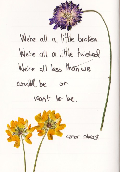 whatever-you-write: We’re  all  a  little  brokenWe’re  all &nb