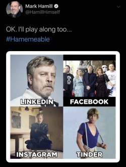 augustdementhe:kaijuno:Will someone come please collect Mark Hamill Collect him right