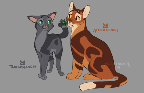 Inktober days 3-6 - Needletail, Violetshine, Twigbranch, & Alderheart