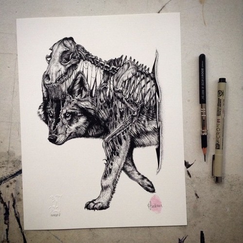 awesome-picz:    Animals Leave Their Skeletons Behind In Stunning Dark Drawings By Paul Jackson