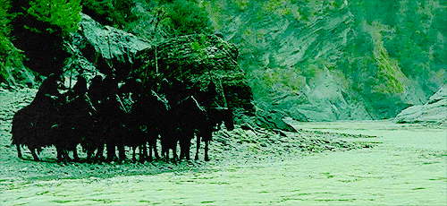 lotrlorien:                    They are the Nazgûl, Ringwraiths,     
