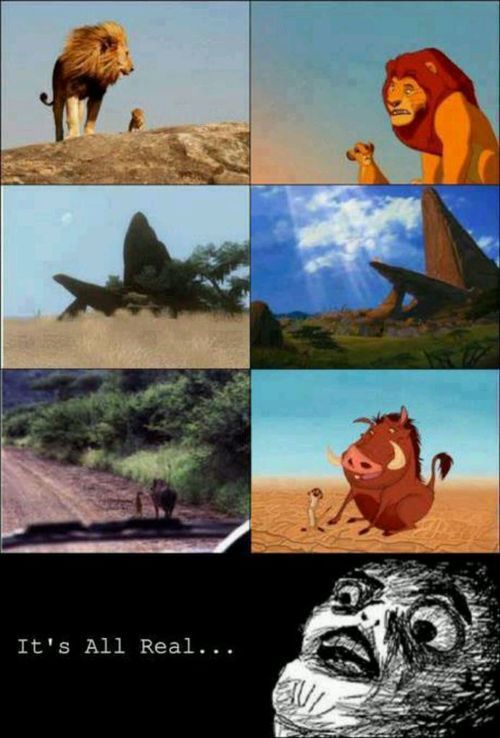 definitionofdisney:  If you love Disney you must follow this blog! 